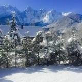 Vila Edelweiss Rooms&App Kranjska Gora — фото 1