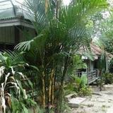 Banyan Tree Resort — фото 3
