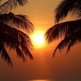 Sibaja Palms Sunset Beach Luxury Villa — фото 2