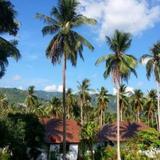 Tropical Season Villa Resort — фото 2