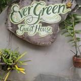 Ever Green Guest House — фото 1