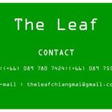 The Leaf Chiangmai Service Apartment — фото 1