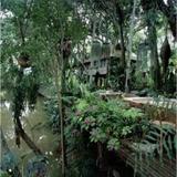 Fern Paradise Hotel — фото 2