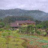 Maekok River Village Resort — фото 3