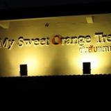 My Sweet Orange Tree Apartment — фото 1