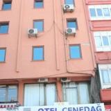Hotel Cenedag — фото 1