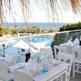 Paloma Oceana Resort - Luxury Hotel — фото 3
