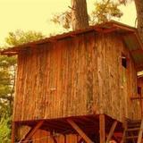 Saban Treehouses — фото 2