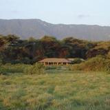 Lemala Manyara Camp — фото 2