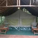 Karatu Forest Tented Camp — фото 2
