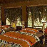 Crater Forest Tented Camp — фото 1