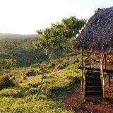 Crater Forest Tented Camp — фото 2