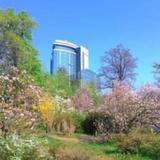 Botanic Towers — фото 1