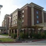 Hampton Inn & Suites-Dallas Allen, TX — фото 3