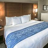Comfort Suites Willowbrook — фото 3