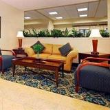 Comfort Inn & Suites Airport — фото 3