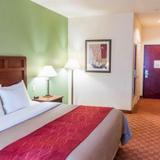 Comfort Inn & Suites Texas City — фото 1