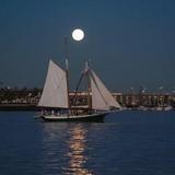 Boston Yacht Haven Inn & Marina — фото 3