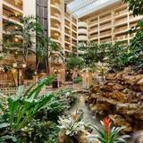 Гостиница Embassy Suites Orlando International Drive - Convention Center — фото 2