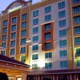 Radisson Hotel Orlando - Lake Buena Vista — фото 3