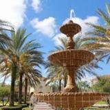 Vista Vacation Rentals near Orlando Convention Center — фото 2