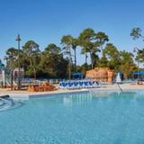 Гостиница Wyndham Garden Lake Buena Vista Disney Springs Resort Area — фото 1