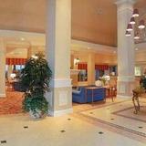 Hilton Garden Inn Las Vegas Strip South Hotel — фото 3