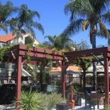 Гостиница Staybridge Suites by Holiday Inn - San Jose — фото 2