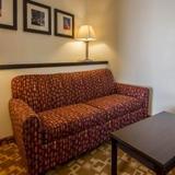 Comfort Suites Dallas — фото 1