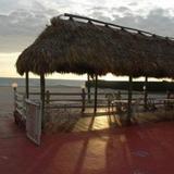 Ocean Palm Motel — фото 3