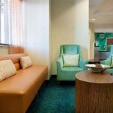 Гостиница Springhill Suites-Hawthorne lax By Marriott — фото 1