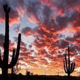 Days Inn and Suites - NW Tucson   Marana — фото 2
