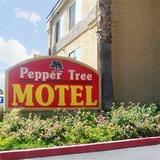 Pepper Tree Motel — фото 2