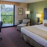 Crowne Plaza Hotel San Diego - Mission Valley — фото 3