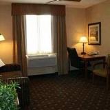 Гостиница Hampton Inn & Suites Denver-Speer Boulevard — фото 1