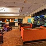 Гостиница Homewood Suites by Hilton Fort Myers Airport/FGCU — фото 1