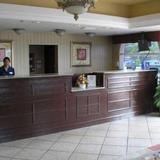 Гостиница Holiday Inn Express Tampa Sun City Ctr — фото 2