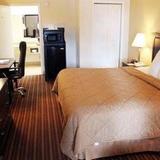 Comfort Inn & Suites At Tropicana Field — фото 3