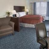 Гостиница Comfort Suites University park sarasota — фото 3