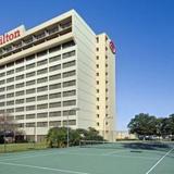 Гостиница Hilton Tampa Airport Westshore — фото 2