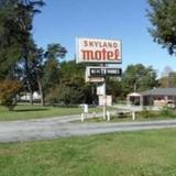 Skyland Motel — фото 3