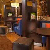 Гостиница Courtyard by Marriott New Orleans Downtown — фото 3