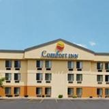 Comfort Inn — фото 3