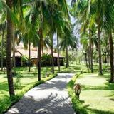 Dessole Sea Lion Beach Resort Mui Ne — фото 1