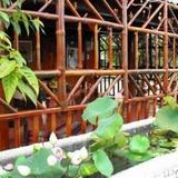 Ut Phuong Ecological Garden Resort — фото 2