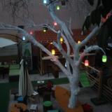 Hostel The White Tree — фото 3