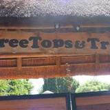 Tree Tops & Treats Guest House — фото 2