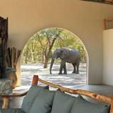 Gwango Elephant Lodge — фото 1
