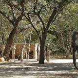 Gwango Elephant Lodge — фото 3